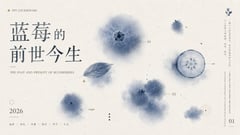 信息图/教育视觉 - 蓝莓课件封面幻灯片