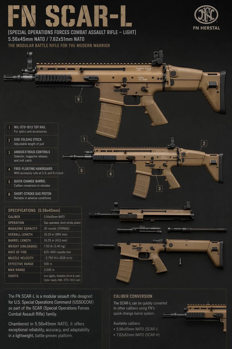 信息图 / 教育视觉 - FN SCAR-L 战术规格表