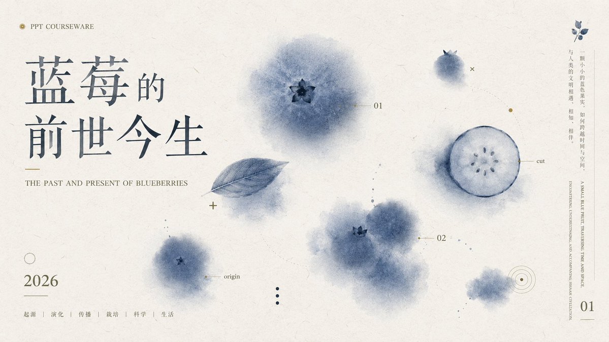 信息图/教育视觉 - 蓝莓课件封面幻灯片